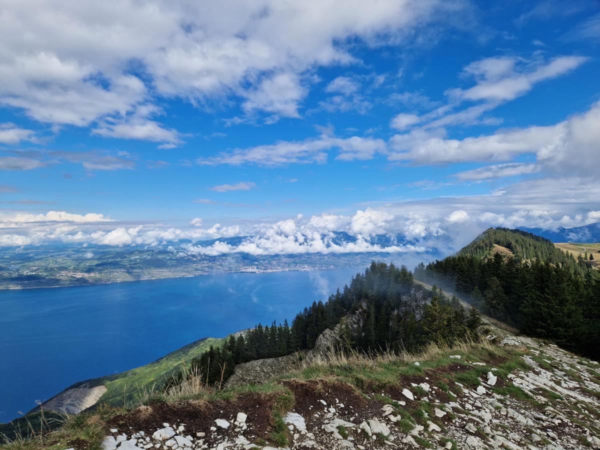 Thollon-les-Memises Appartement Tout Confort Montagne Et Lac Leman מראה חיצוני תמונה